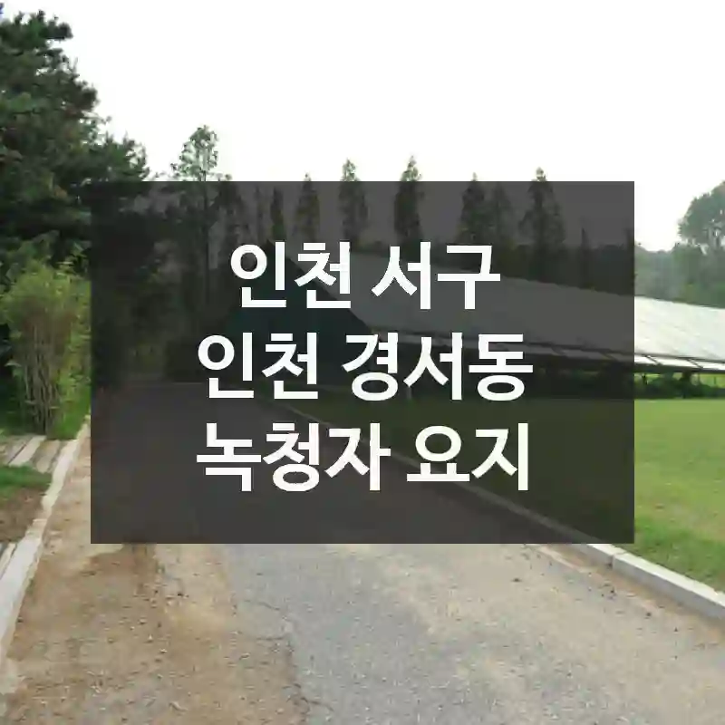 인천 서구
인천 경서동 녹청자 요지