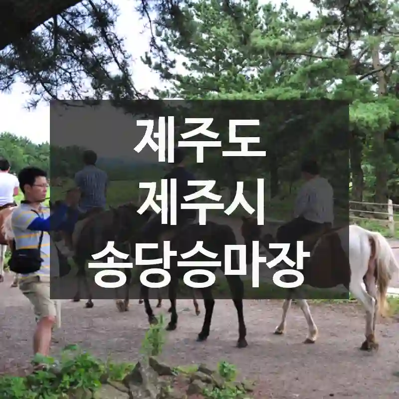 제주도 제주시
송당승마장