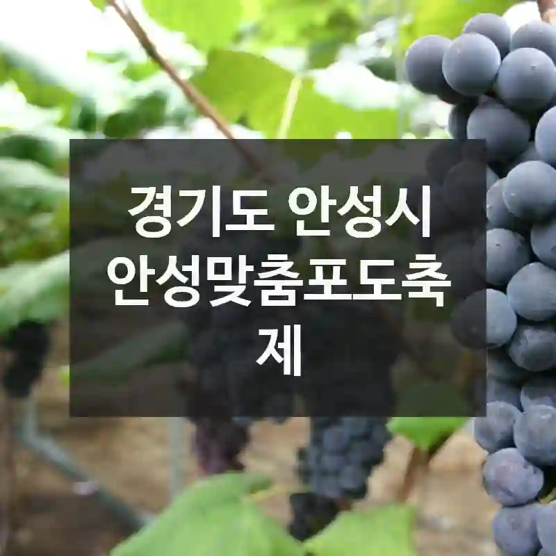 경기도 안성시
안성맞춤포도축제