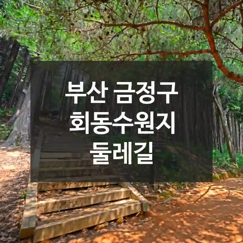 부산 금정구
회동수원지 둘레길
