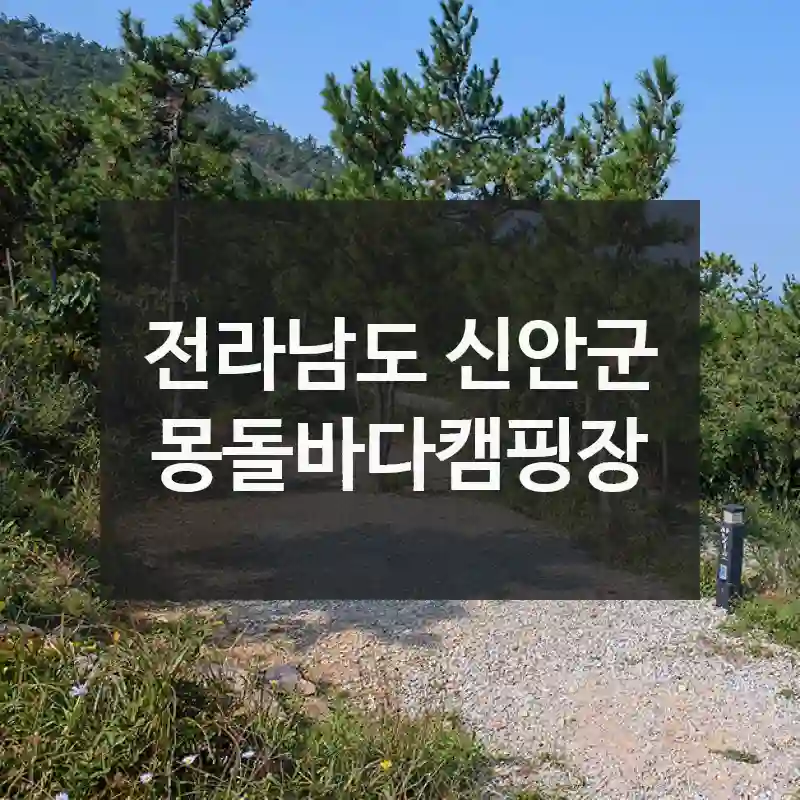 전라남도 신안군
몽돌바다캠핑장