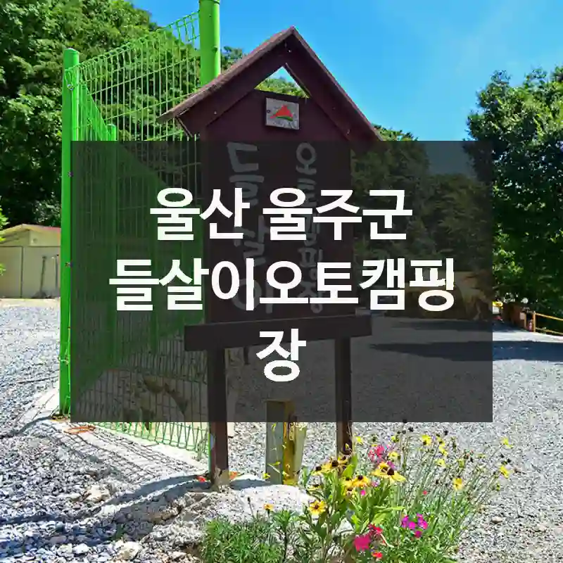 울산 울주군 “들살이오토캠핑장” 퀵 가이드! 주차장 위치, 경험거리, 생생 팁 총정리