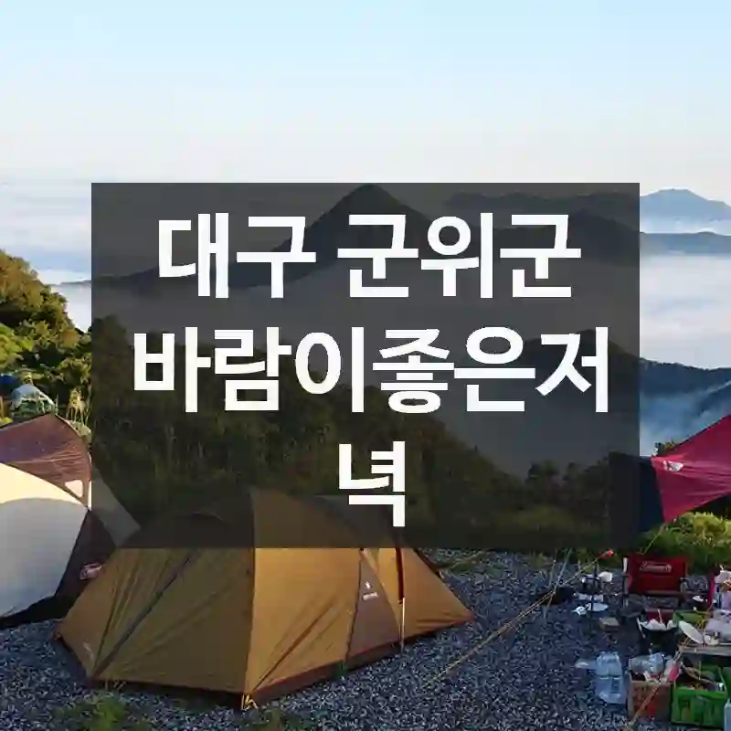 대구 군위군
바람이좋은저녁