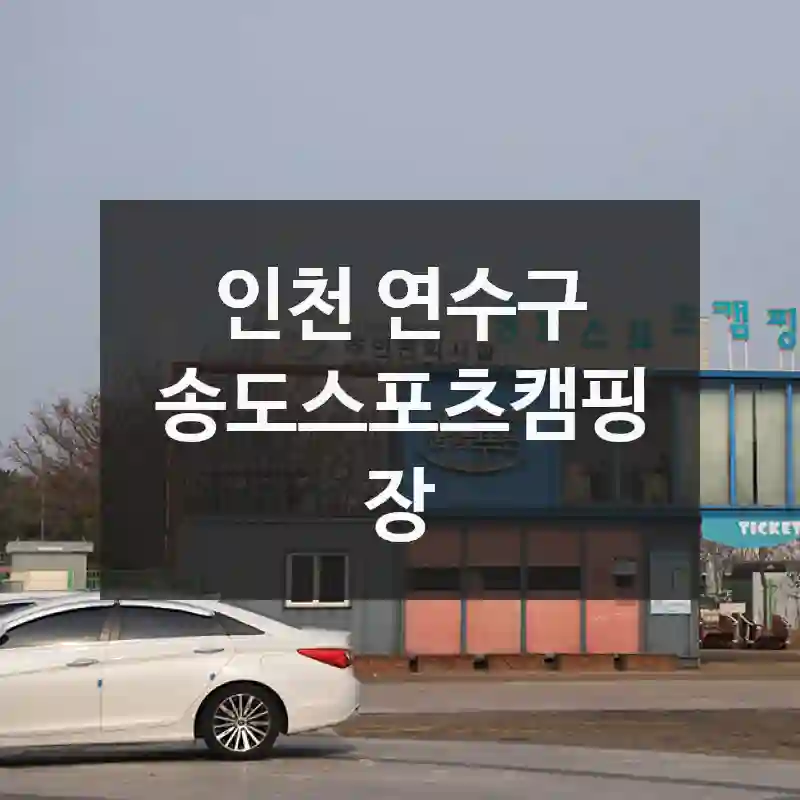 인천 연수구
송도스포츠캠핑장