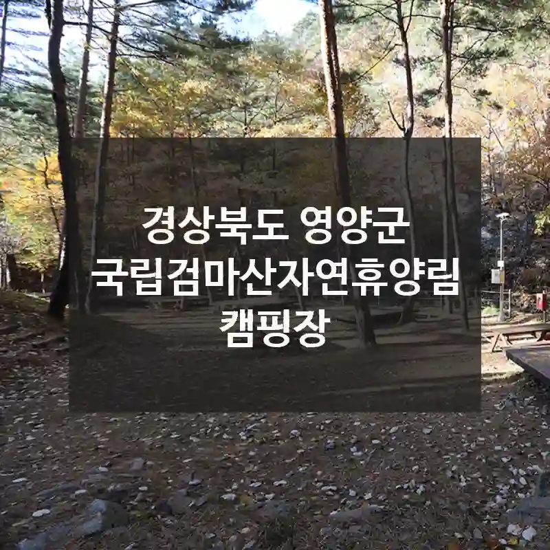 경상북도 영양군
국립검마산자연휴양림캠핑장