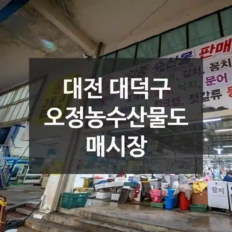 대전 대덕구 오정농수산물도매시장, 이런 이유로 찾는지 알겠더라고요