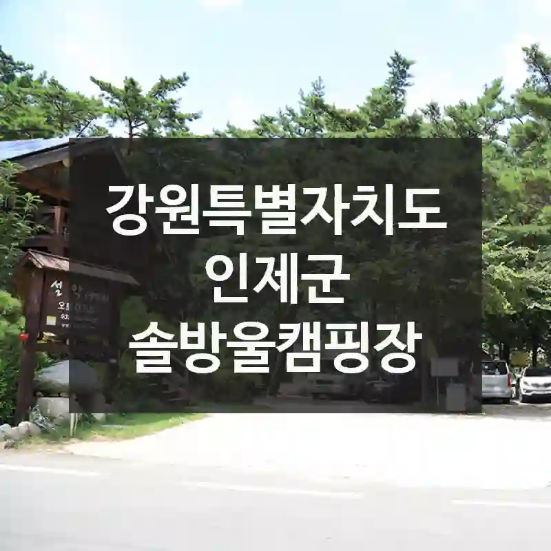 강원특별자치도 인제군
솔방울캠핑장