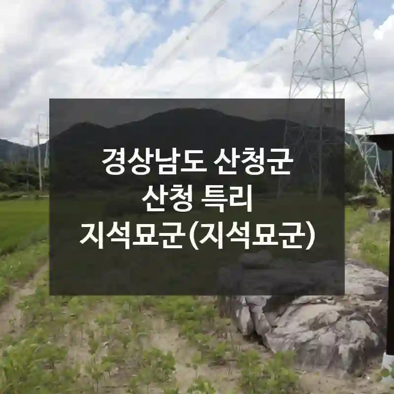 경상남도 산청군
산청 특리 지석묘군(지석묘군)