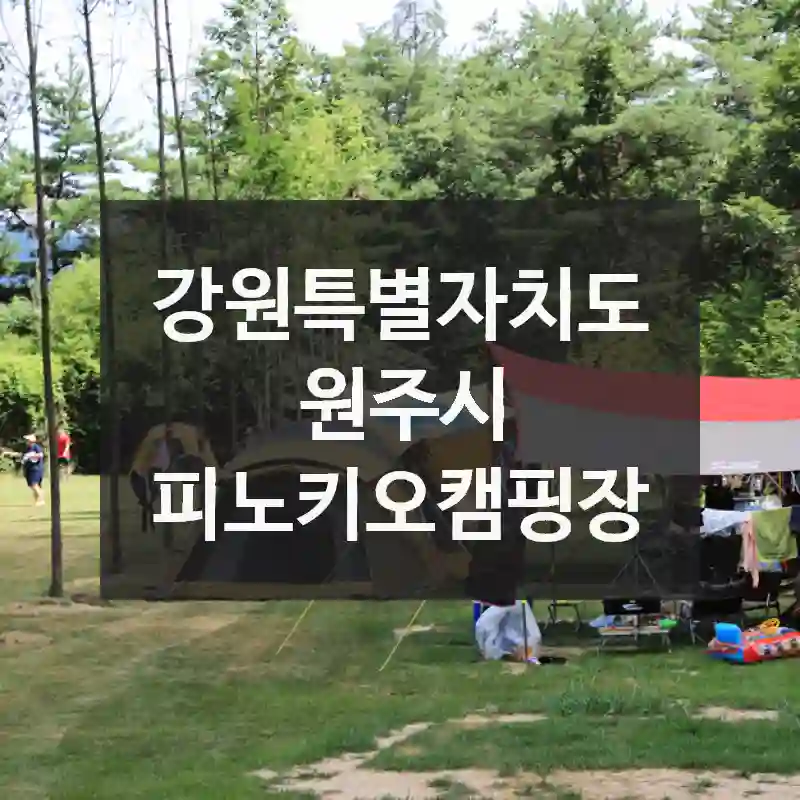 강원특별자치도 원주시
피노키오캠핑장