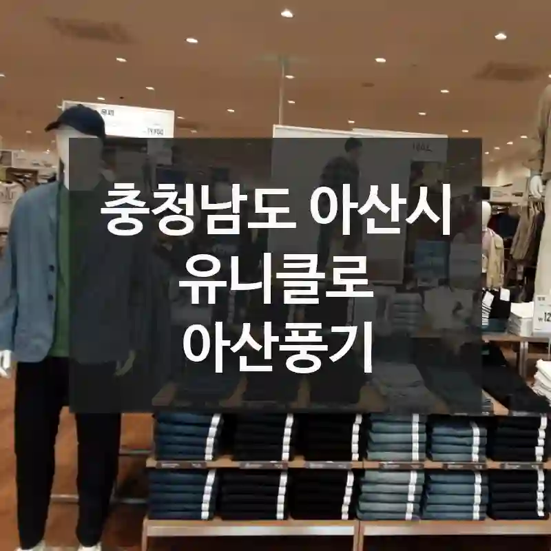충청남도 아산시
유니클로 아산풍기