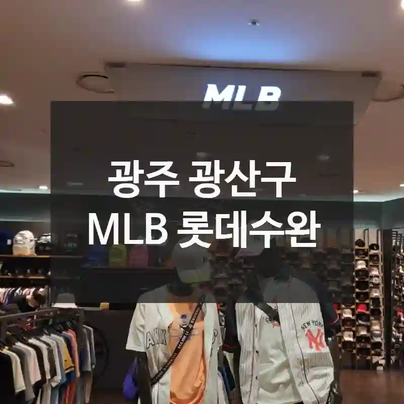 광주 광산구
MLB 롯데수완