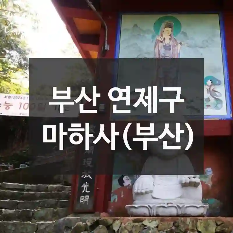 부산 연제구 “마하사(부산)” 요점 정리! 위치 정보, 경험거리, 체험 꿀팁 총정리
