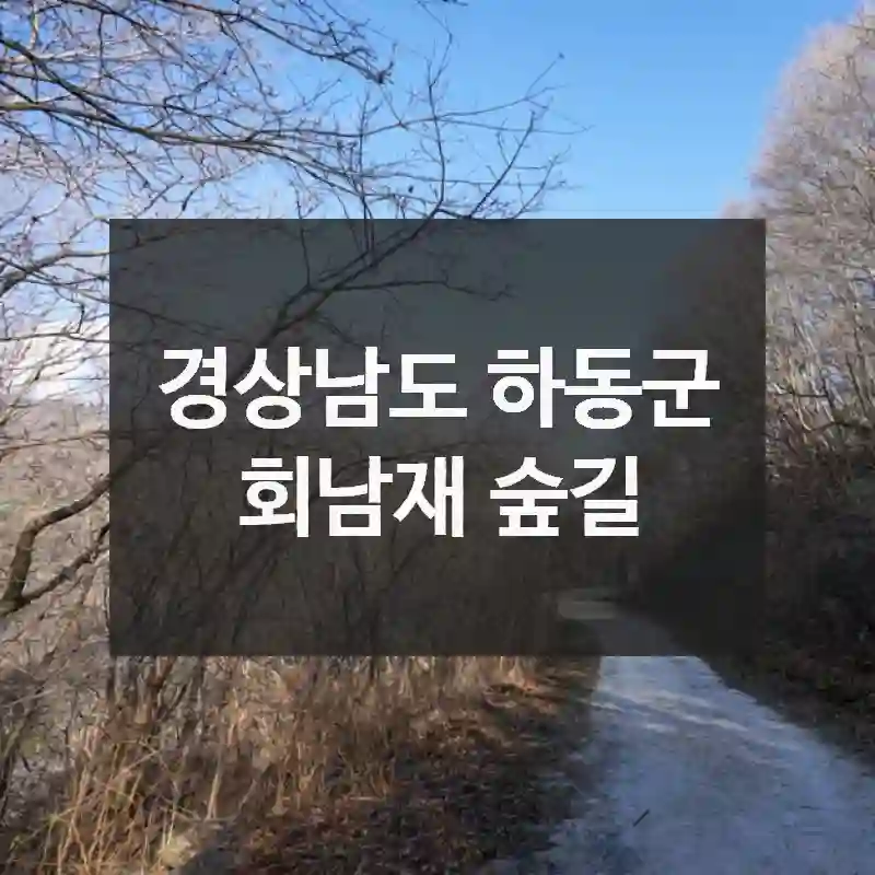 경상남도 하동군
회남재 숲길