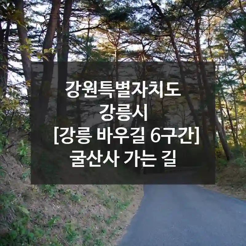 강원특별자치도 강릉시
[강릉 바우길 6구간] 굴산사 가는 길
