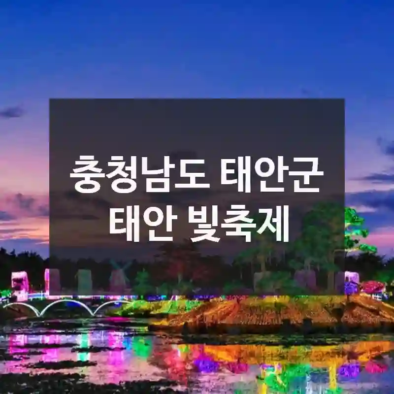 충청남도 태안군
태안 빛축제