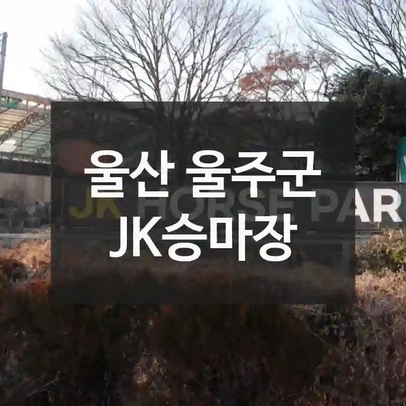 울산 울주군
JK승마장