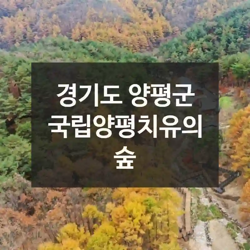 경기도 양평군
국립양평치유의숲