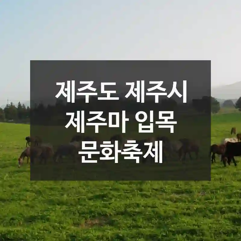 제주도 제주시
제주마 입목 문화축제