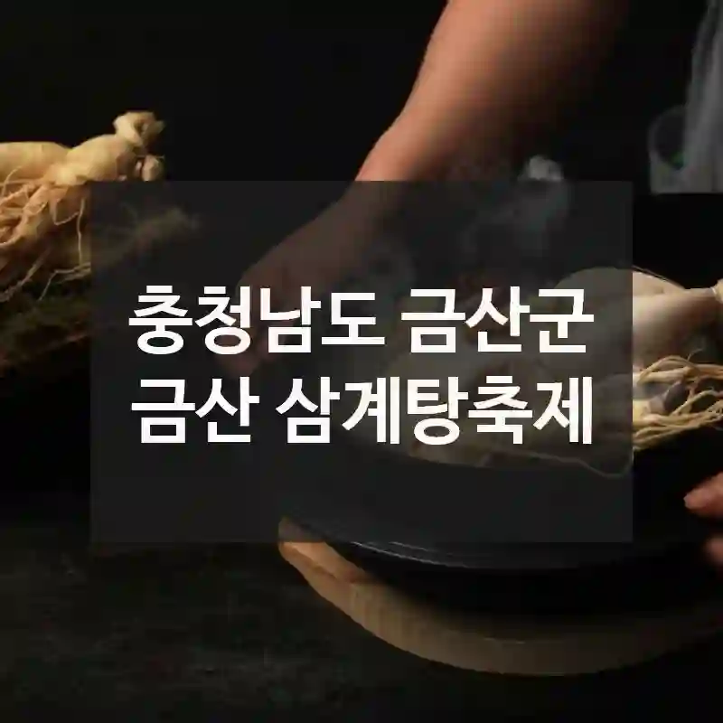 충청남도 금산군
금산 삼계탕축제