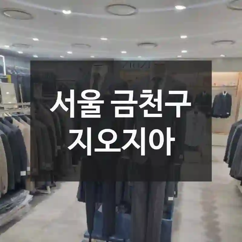 서울 금천구
지오지아