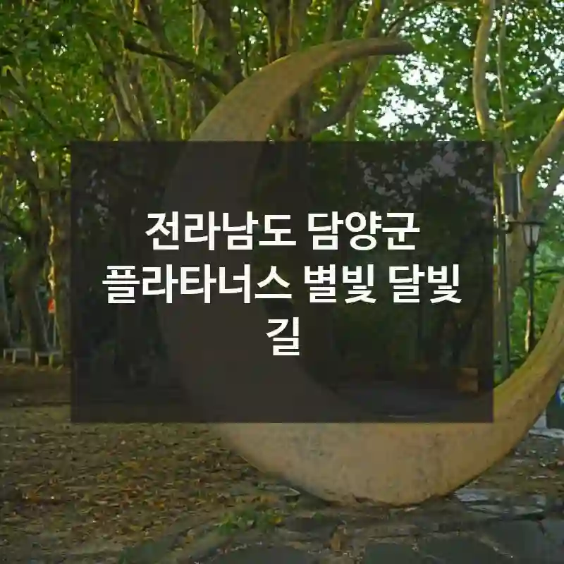 전라남도 담양군
플라타너스 별빛 달빛 길