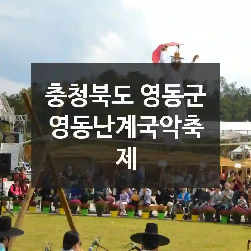 충청북도 영동군
영동난계국악축제