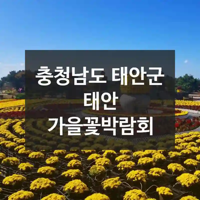 충청남도 태안군
태안 가을꽃박람회