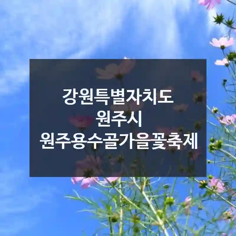 강원특별자치도 원주시
원주용수골가을꽃축제