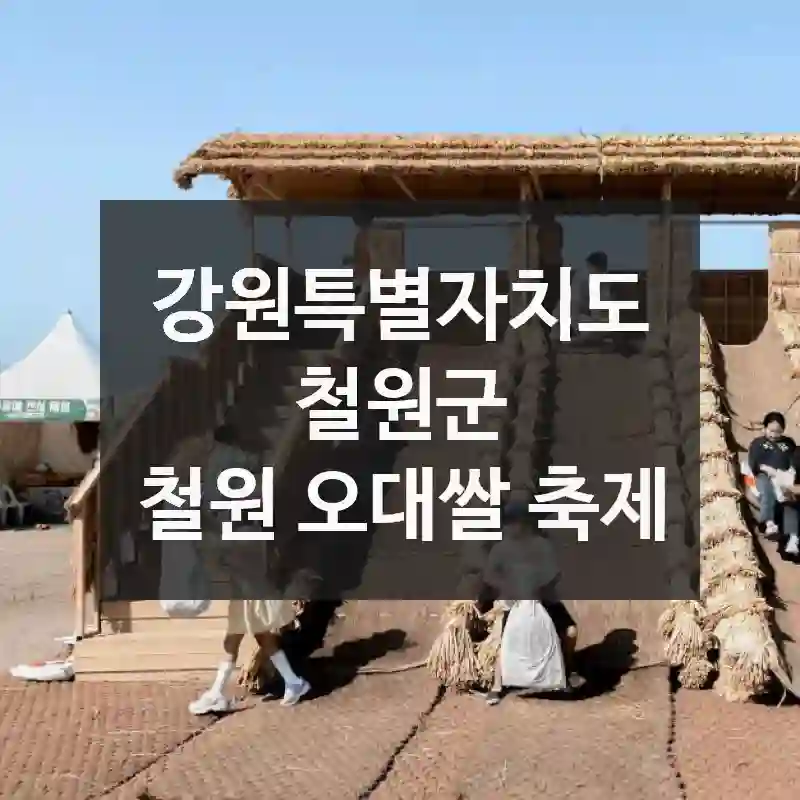 강원특별자치도 철원군
철원 오대쌀 축제