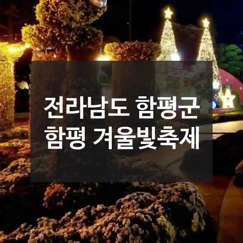 전라남도 함평군
함평 겨울빛축제