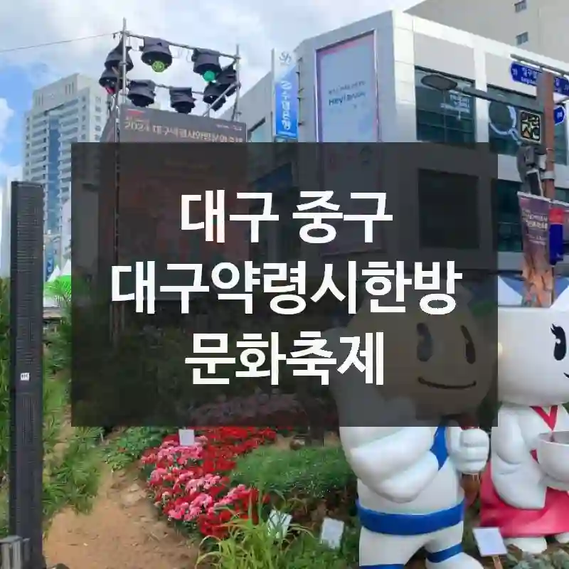 대구 중구
대구약령시한방문화축제