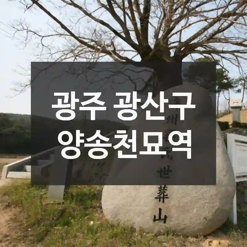 광주 광산구
양송천묘역