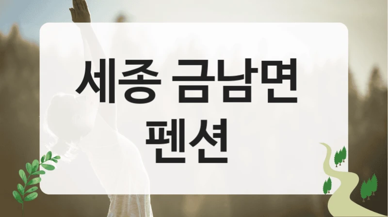 세종 금남면 
펜션