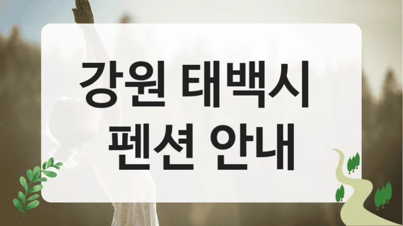 강원 태백시 
펜션 안내