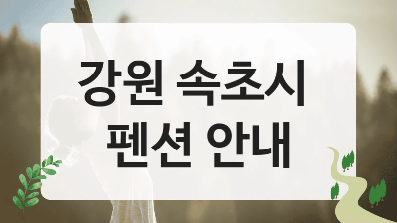 강원 속초시 
펜션 안내