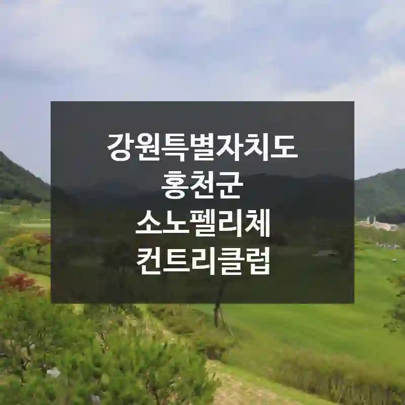 강원특별자치도 홍천군
소노펠리체 컨트리클럽