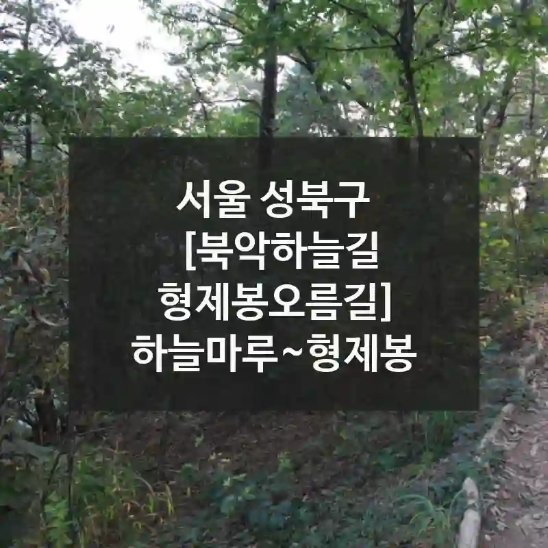 서울 성북구
[북악하늘길 형제봉오름길] 하늘마루~형제봉
