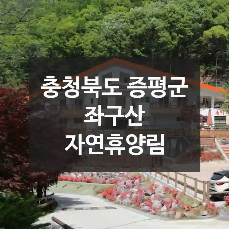 좌구산 자연휴양림 제대로 즐기기! 체크 포인트 소개해요