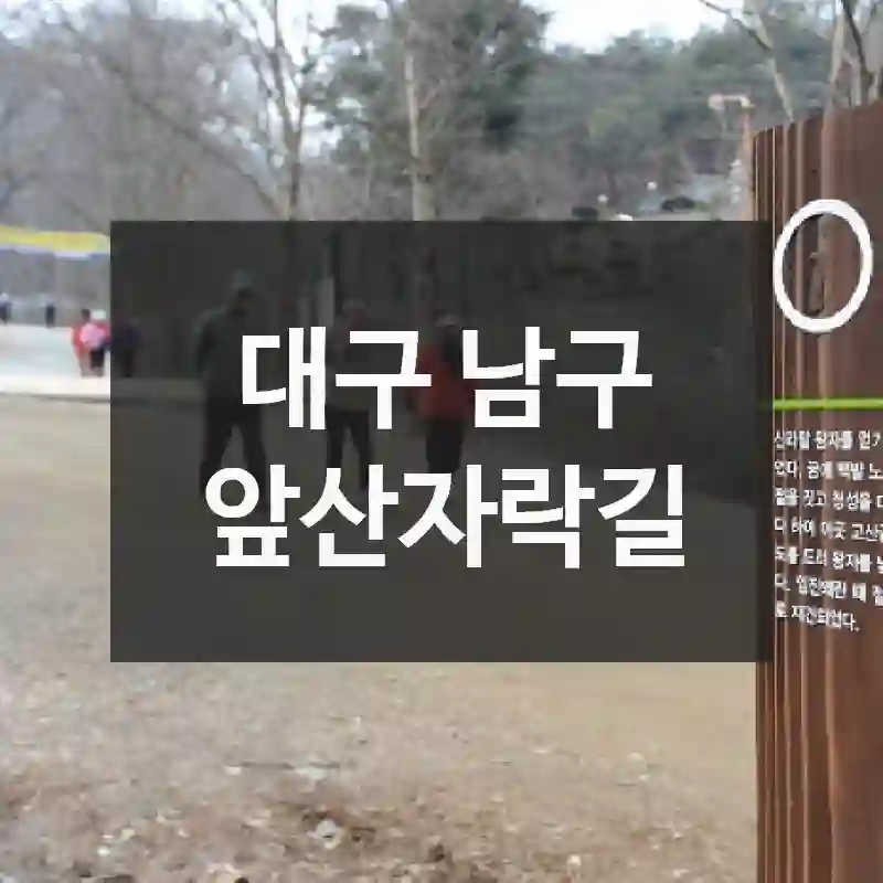 앞산자락길 처음 방문 전 꼭 보기 – 찾아가는 길, 주변 명소, 이용 요령까지