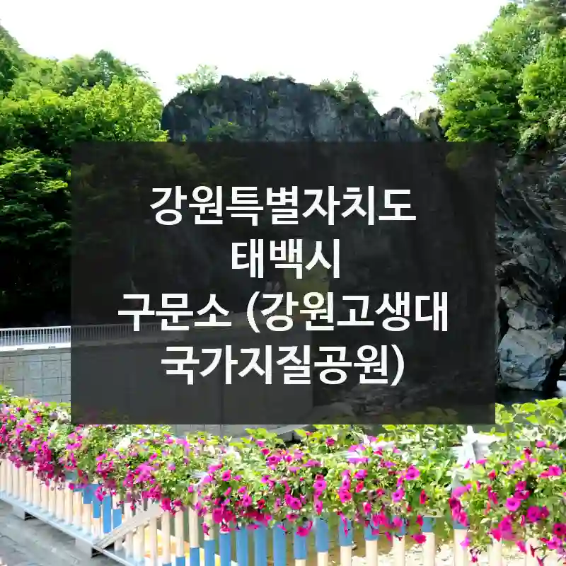 강원특별자치도 태백시
구문소 (강원고생대 국가지질공원)