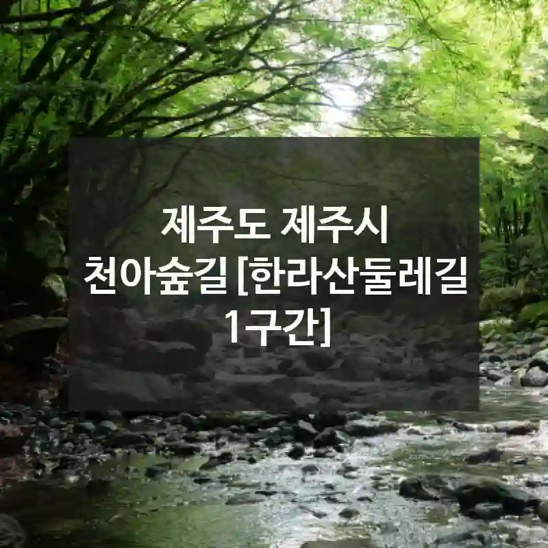 천아숲길[한라산둘레길 1구간] 요즘 제일 좋을 때 – 지금 추천하는 여행지 소개
