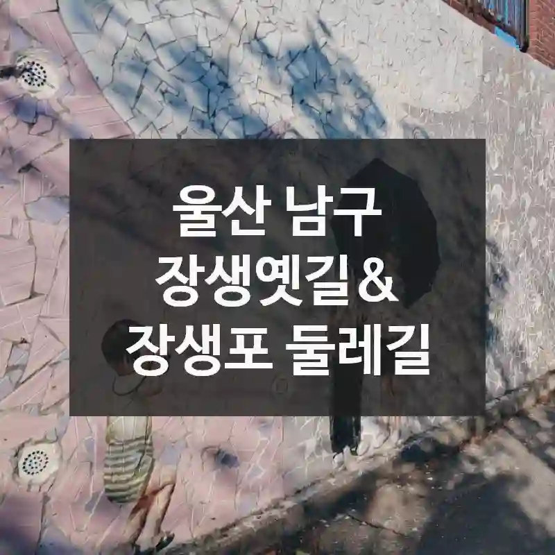 울산 남구
장생옛길& 장생포 둘레길