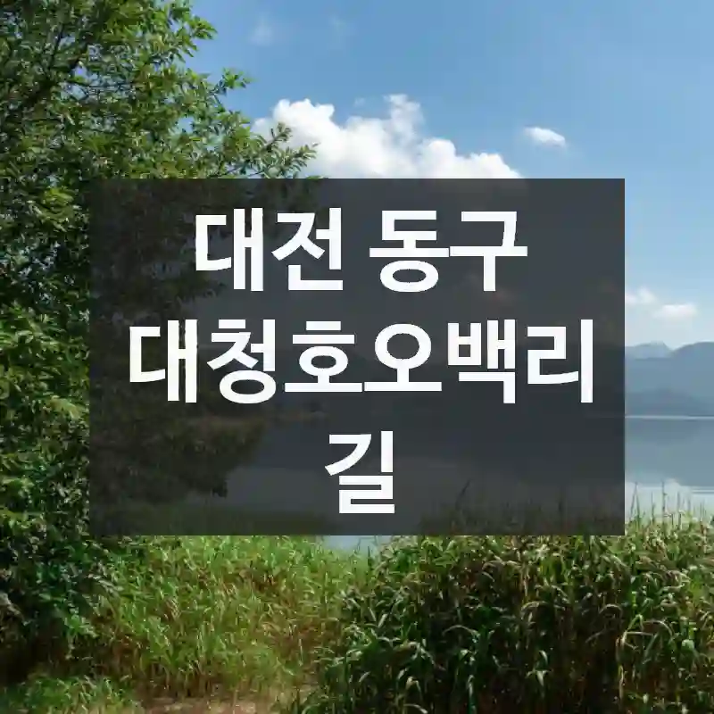 대전 동구
대청호오백리길