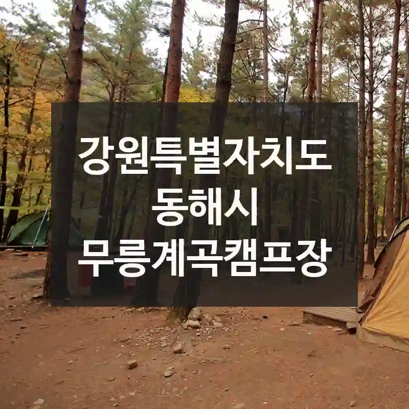 강원특별자치도 동해시
무릉계곡캠프장