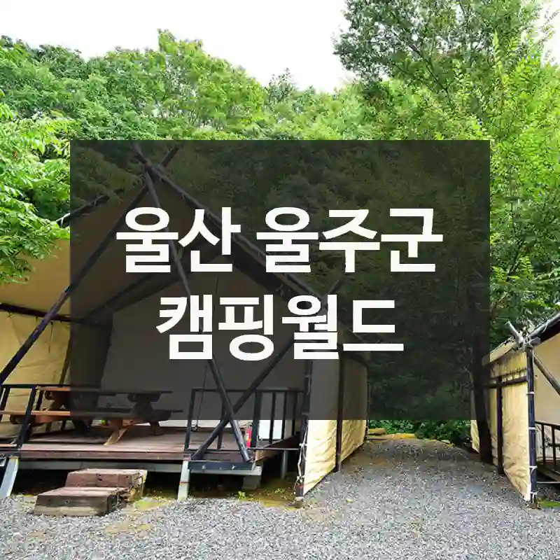 울산 울주군
캠핑월드