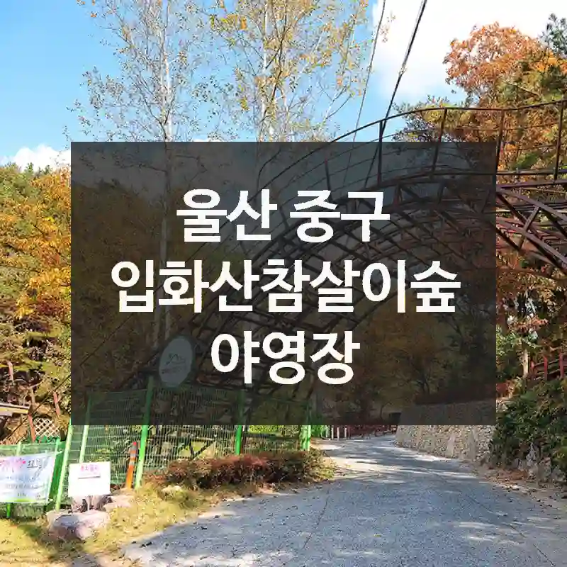 울산 중구
입화산참살이숲야영장