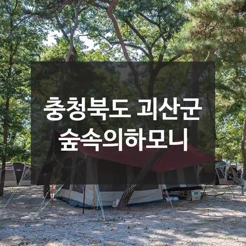 충청북도 괴산군
숲속의하모니