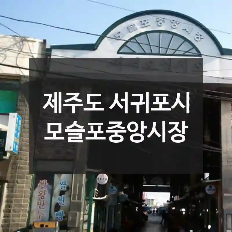 지금 떠나기 좋은 타이밍, 제주도 서귀포시 모슬포중앙시장 – 음식점