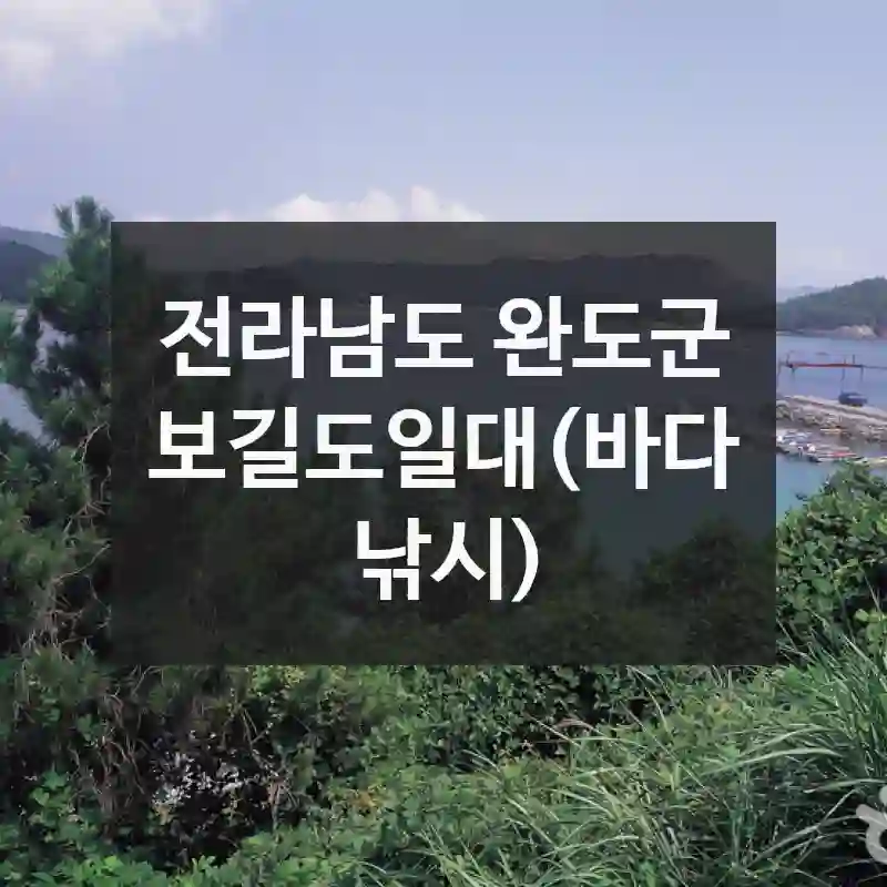 전라남도 완도군
보길도일대(바다낚시)
