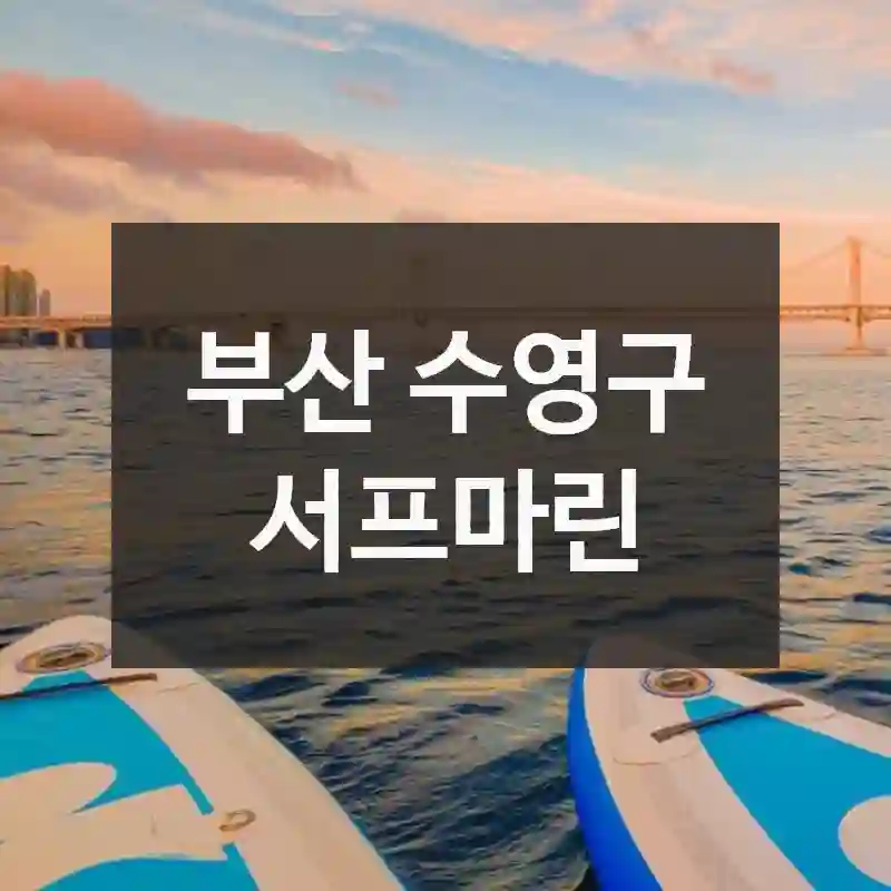 서프마린 100% 즐기는 법 – 가는 법 팁, 먹거리 가이드, 방문자 꿀팁